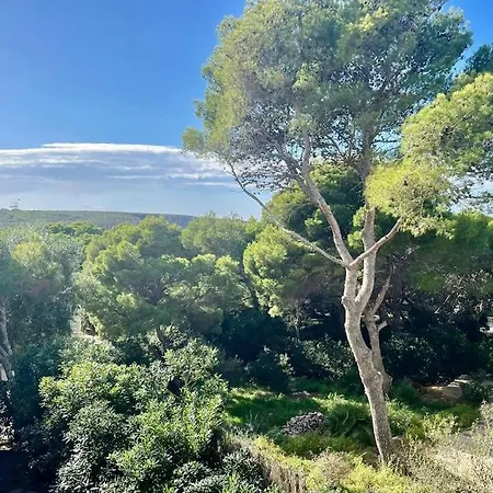 Ses Roques Vermelles - Menorca *